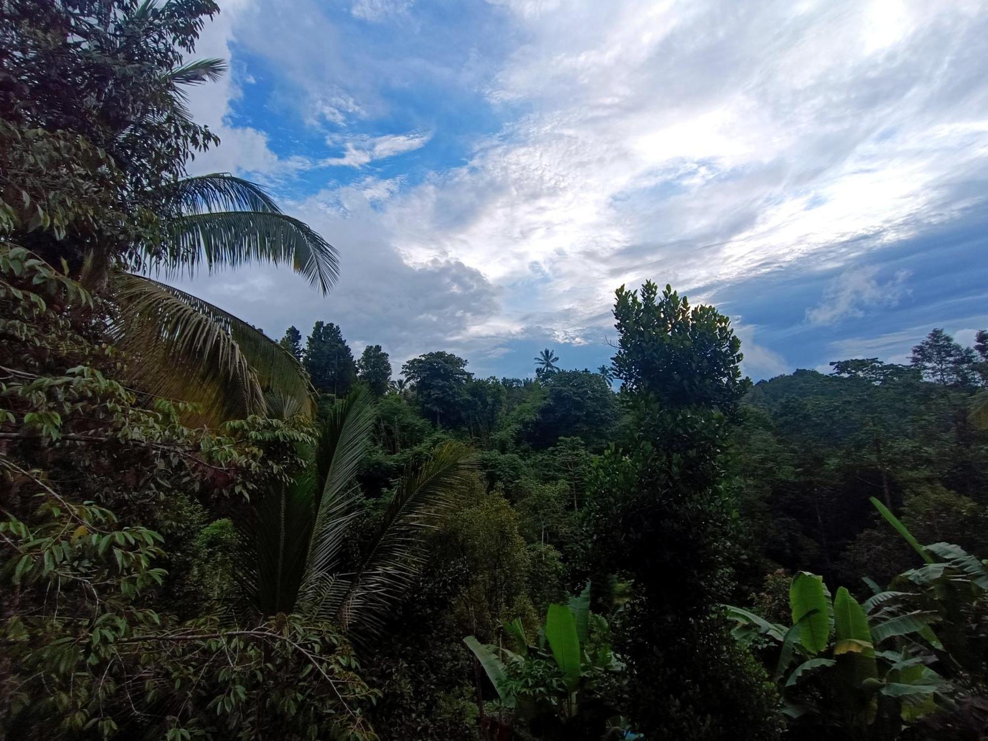 Hotel Artomoro Bali Munduk Zewnętrze zdjęcie